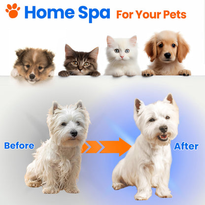WIKIAZON 4 In 1 Cat Steam Brush, Self Cleaning, Anti Static Shedding Spray Comb, Hair Removal, Mist Indoor Steamy Grooming Brush for Dog, Water Spritz Defur with Steamer Cloud Para Gatos (White Pro)