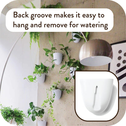 PlantPod Luxe - Self-Watering Wall Planters (Set of 6) - Easy to Water and Install - Lightweight - Design Your Own Vertical Garden - Wall Planters for Indoor Plants