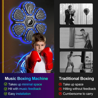 Terrepulse Music Boxing Machine for Kids,Wall Mounted Training Punching Machine for Teenager & Adults,Smart Interactive Boxing Machine with LED Lights & Bluetooth (Black)