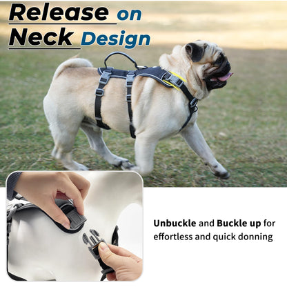 Wuffley Escape Proof Dog Harness and Leash Set, Lightweight Dog Harness with Lift and Assist Handle, No Pull Reflective Pet Vest for Small Medium Dogs, Ideal for Puppy Walking and Training (Black,XS)