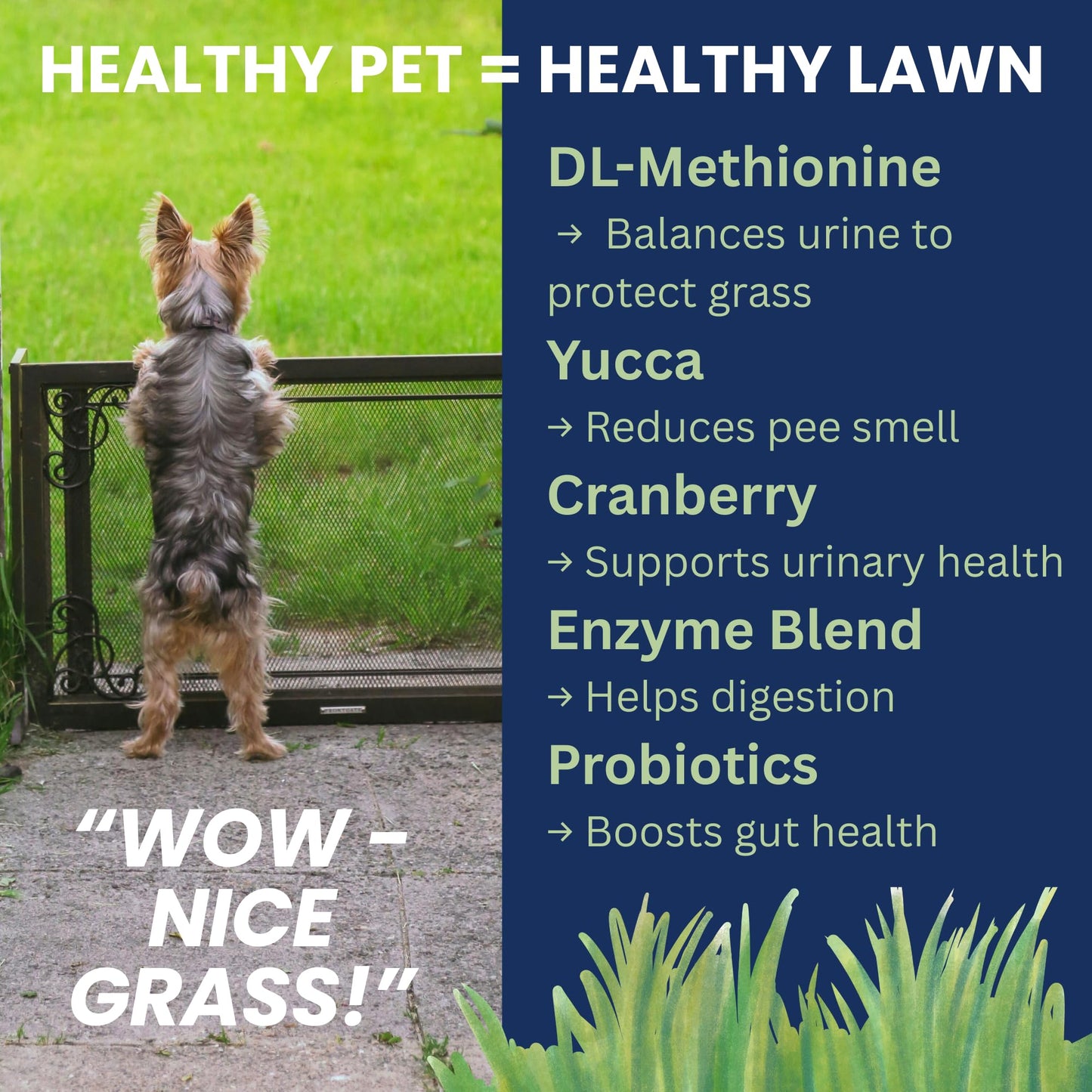 Under the Weather Nice Grass Chews for Dogs | Digestive Enzymes for Dogs | Canine Urine Neutralizer for Grass | Probiotics for Digestive Health | Vet Formulated Lawn Care Supplement | 60 Count