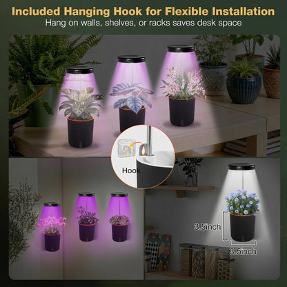 Raygrov Self-Watering Planter with Grow Light — Indoor Herb Garden Kit, Smart Plant Pot for Microgreens, Cat Grass, Catnip & Houseplants, 2-in-1 Wall + Desktop, USB 5W Full Spectrum LED
