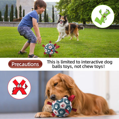 QDAN Dog Balls Toys, Soccer Ball with Straps, Puppy Birthday Gifts, Dog Water Toy, Durable Herding Balls for Small Medium Dogs, Interactive Toys for Tug of War (6 Inch)