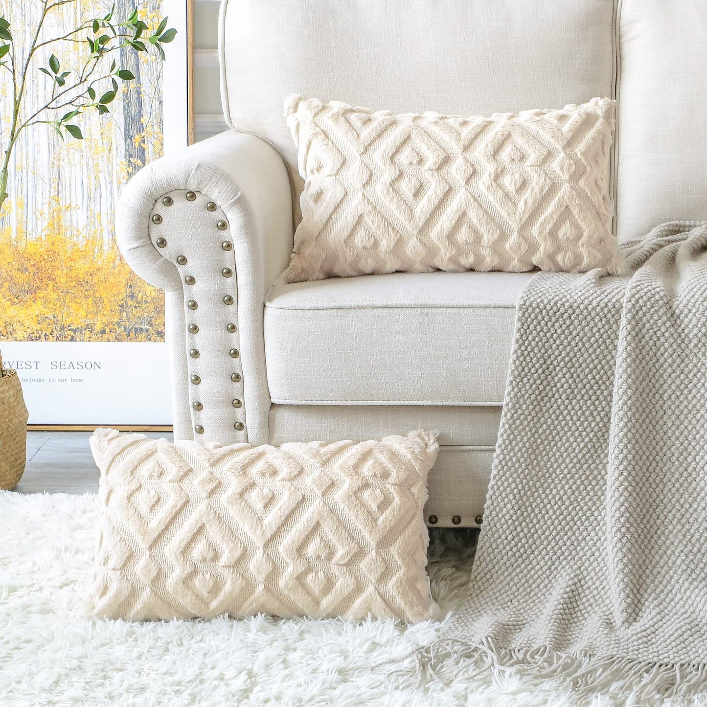 Artscope Pack of 2 Soft Plush Short Wool Velvet Decorative Throw Pillow Covers Luxury Style Cushion Covers European Pillow Shell for Sofa Bedroom Diamond Shape Cream Beige, 16x24 Inch