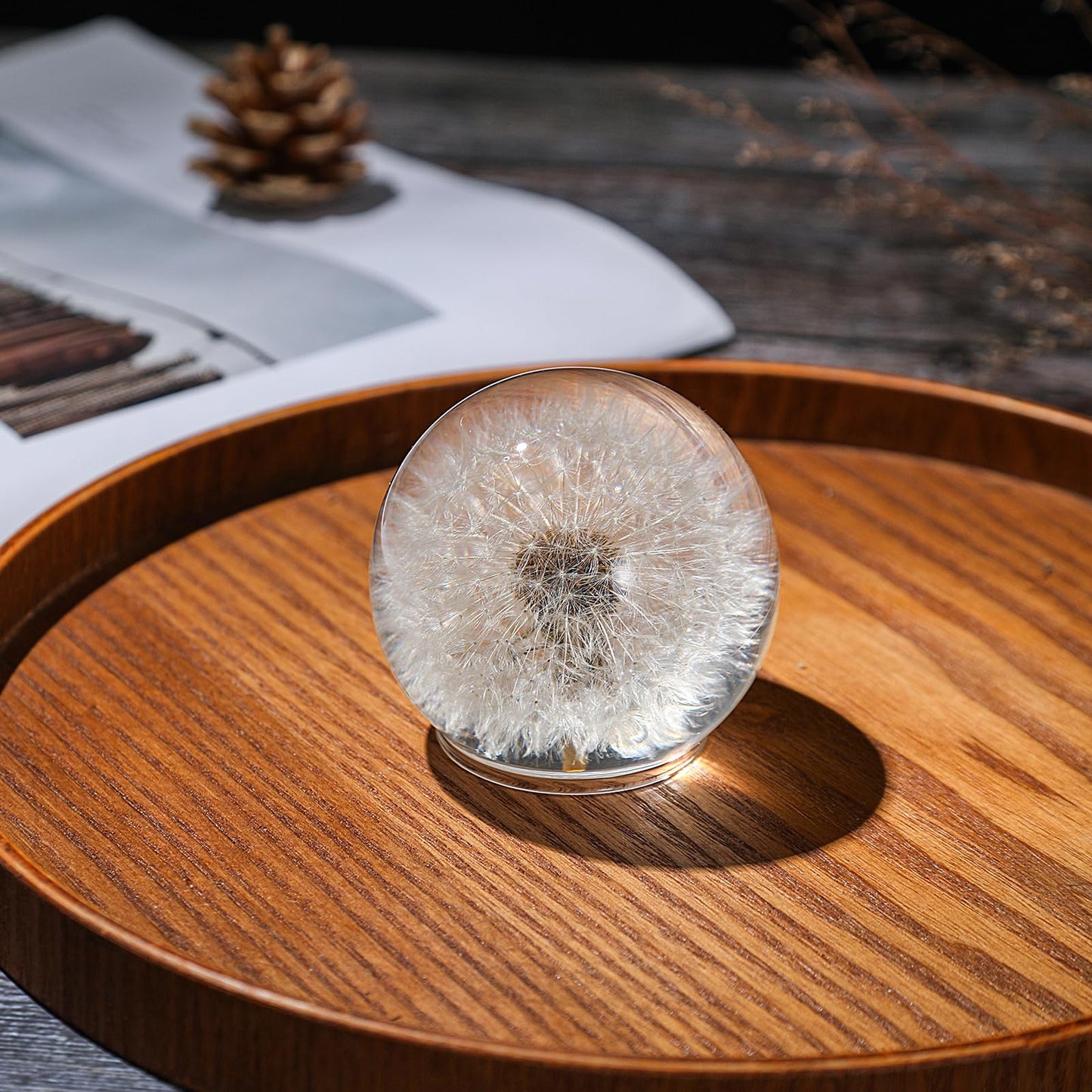 1st Heaven Dandelion Paperweight – Real Dandelion in Crystal Glass Ball, Unique Gift & Home Office Decor, Symbol of Luck, Hope, and Wishes for Birthday, Graduation, Wedding