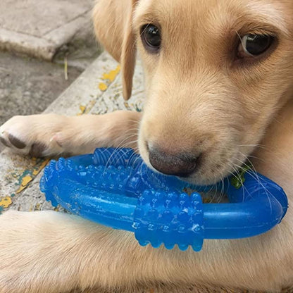 Nylabone Spin Tug & Play Puppy Chew Ring Toy, Toys for Teething Puppies, Peanut Butter Flavor, Blue, Medium - Up to 35 lbs, 1 Count