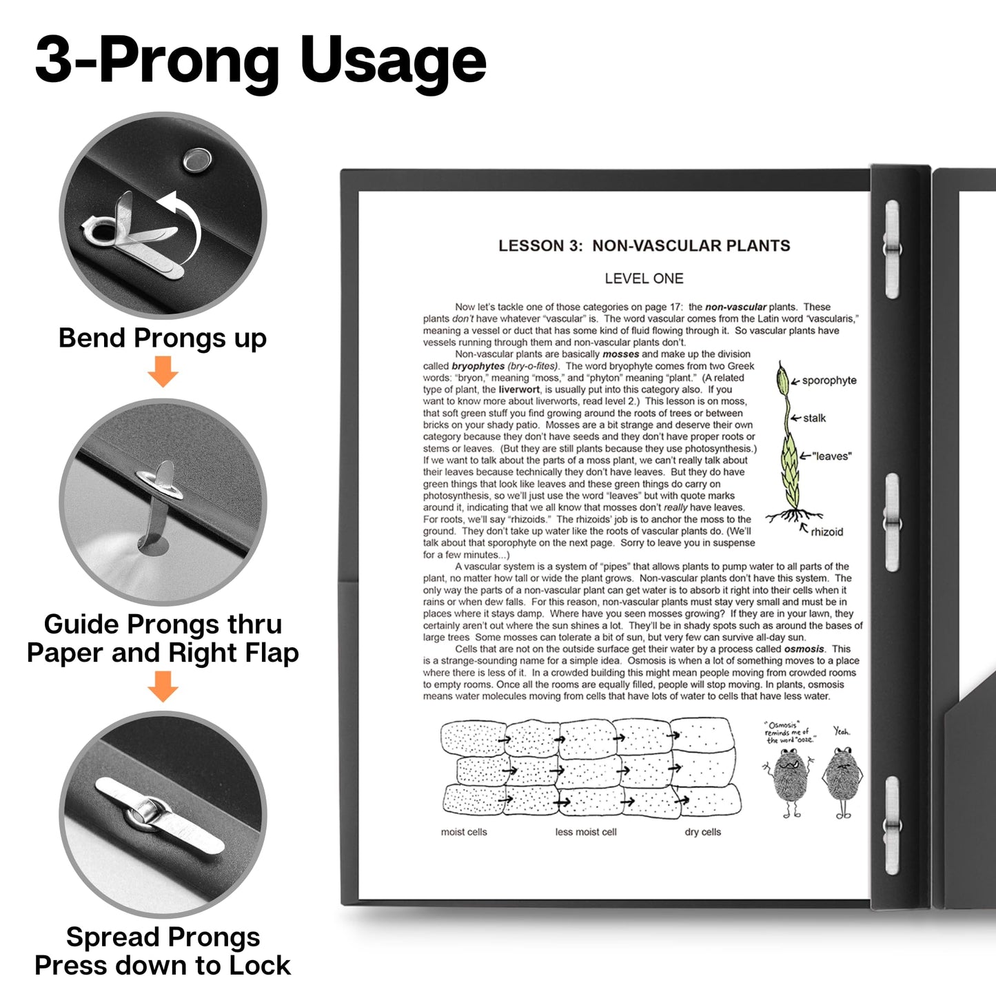 Dunwell Plastic Folders with 3 Prongs, (12 Pack, Black), 2-Pocket Folders with Fasteners, Durable Acid-Free Poly for Long Term Use, Includes Labels
