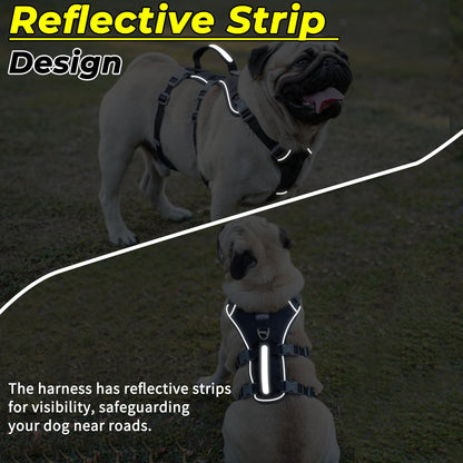 Wuffley Escape Proof Dog Harness and Leash Set, Lightweight Dog Harness with Lift and Assist Handle, No Pull Reflective Pet Vest for Small Medium Dogs, Ideal for Puppy Walking and Training (Black,XS)