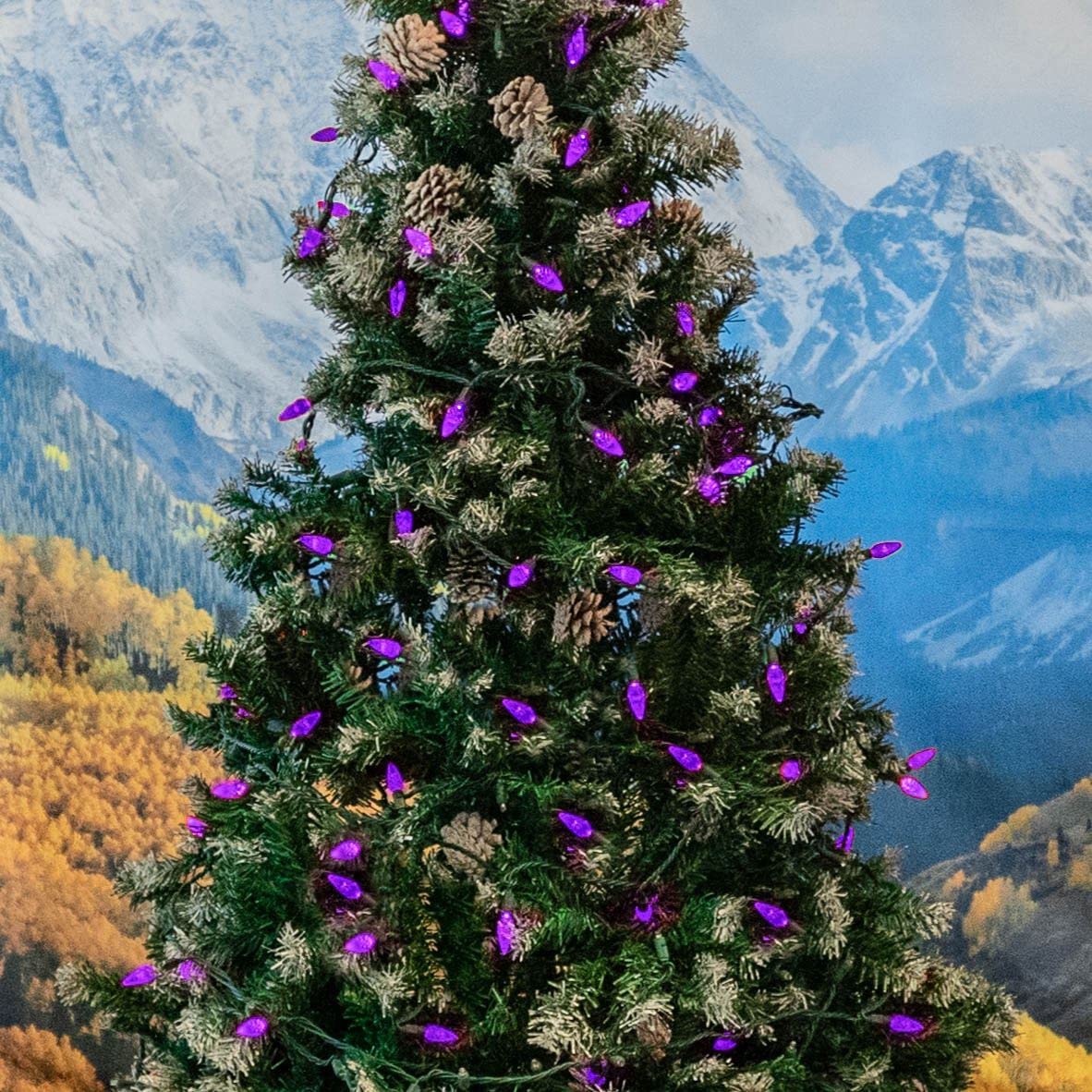 Novelty Lights 24FT 70 LED C6 Christmas String Lights, Outdoor Tree Commercial Grade Permanent Decorations (Purple)