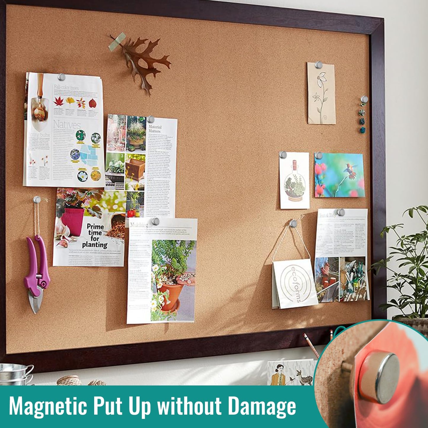Magnetic Push Pins, 20 Sets Magnet Thumbtack for Board [1s Quick Pin][No Hole Hang Way], Poster and Photo Hangers Push Pin Magnets for Office Supplies Classroom Decoration Walls Bulletin Boards