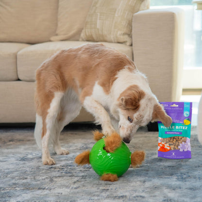 Outward Hound by Nina Ottosson Puzzle Bitez USA Made Dog Treats, Pumpkin Flavor, Bite-Sized Training Reward and Interactive Puzzle Toy Treats, 7.5oz