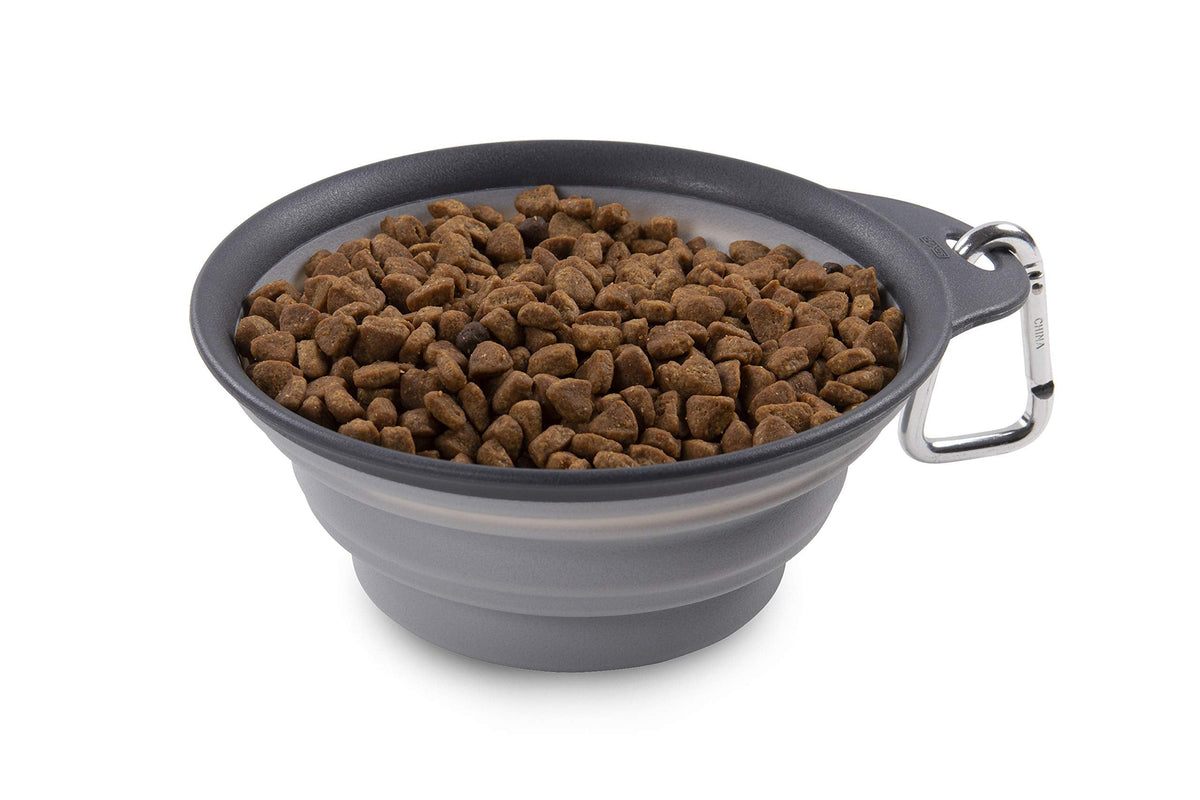 Dexas Popware for Pets Collapsible Travel Cup, Large, Gray/Blue