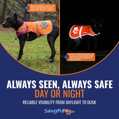 Blaze Orange Reflective Dog Vest, High Visibility in Woods & Hunting Areas