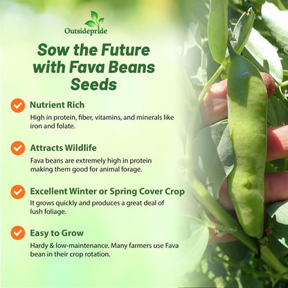 Outsidepride Annual Fava Beans Seeds - 10 lbs. High-Protein Forage Legume Seed for Soil Health Improvement, Erosion Control Support, Pollinator Attraction, Cover Crop, Hay, & Deer Food Plots
