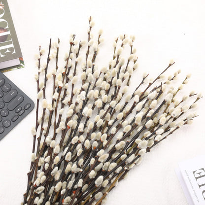Natural Preserved Dried PussyWillow Branches for Vases, 30 Stems Real Willows, 17" Snow Pussywillows, Dried Flowers for Indoor and Outdoor Decor, Wedding Home DIY Floral Art Plants Fireplace