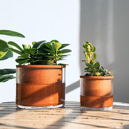 Phoenix Vine 4 Inch Self Watering Plants Pot, Design Terracotta Pot for Plants, Indoor Cylinder Terra Cotta Planter with Glass Vase, Set of 4, 51-A-E-4
