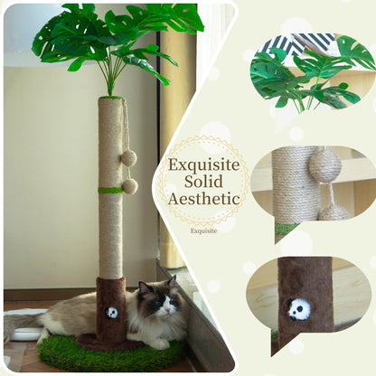 Woochpet Cat Scratching Post for Indoor Cats and Kitten - 35.43" Tall Cat Scratching Post with Sisal Rope,Palm Tree Cat Scratch Post with Hanging Ball