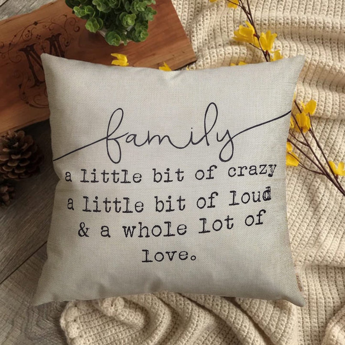 Fjfz Family a Little Bit of Crazy Decorative Throw Pillow Covers, Farmhouse Quote Home Rustic Decorations, Christmas Inspirational Gifts Winter Cotton Linen Cushion Case Decors for Sofa Couch 18 × 18