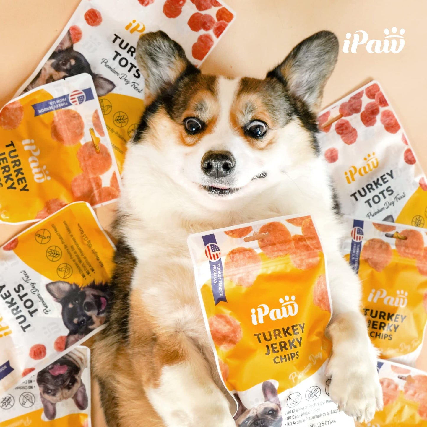 iPaw Turkey Tots Dog Treats for Puppy Training, SQF Certified Human Grade Dog Treat, Hypoallergenic, Easy to Digest (Turkey Tots)