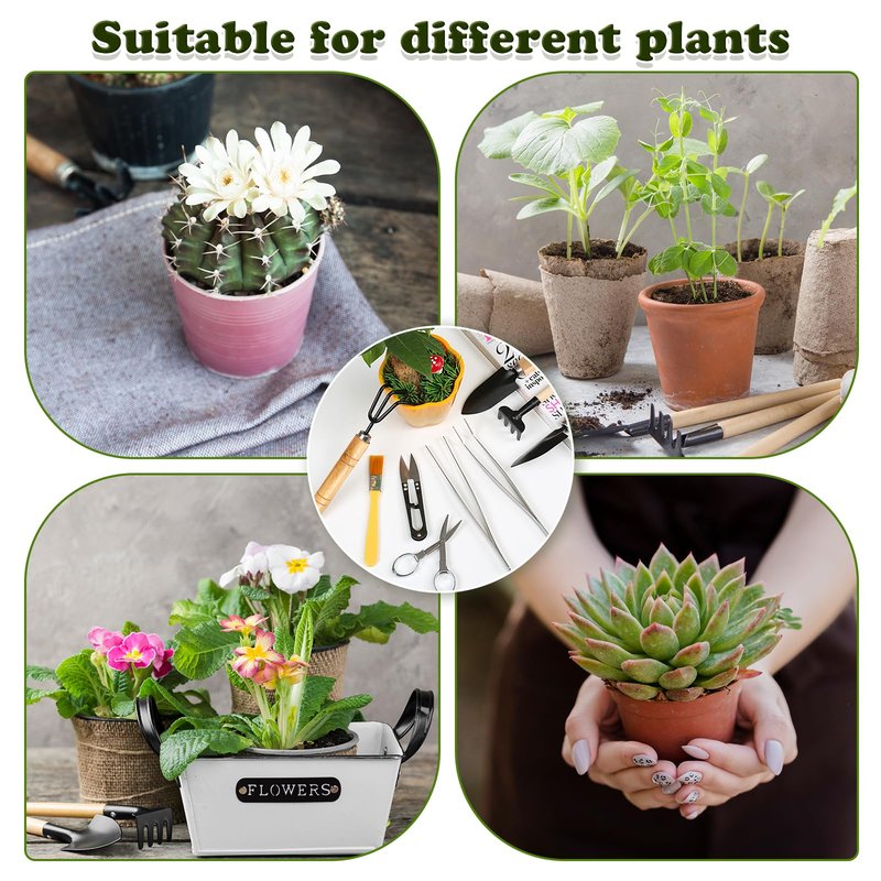 9PCS Basic Bonsai Tools Set, Bonsai Tree Kit Mini Garden Tools Includes Pruning Shears, Mini Rake, Fold Scissors and More