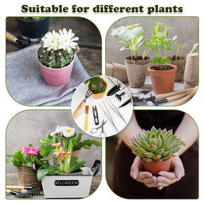 9PCS Basic Bonsai Tools Set, Bonsai Tree Kit Mini Garden Tools Includes Pruning Shears, Mini Rake, Fold Scissors and More