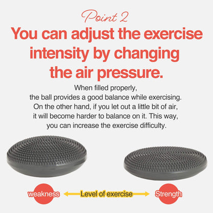 Primasole Balance Disc with Air Pump Wobble Cushion for Stability Workout 2 PCS Cobalt Blue Color PSS91NH052A