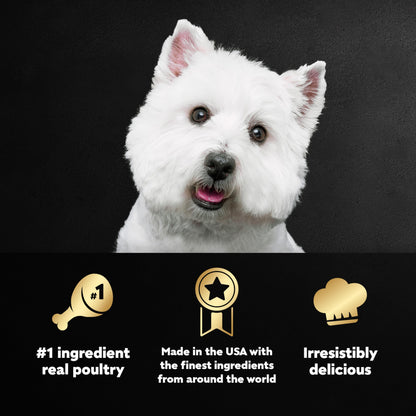 Cesar Wet Dog Food Poultry Lovers Variety Pack with Real Chicken, Turkey and Duck, 3.5 oz. Easy Peel Trays (36 Count, Pack of 1)