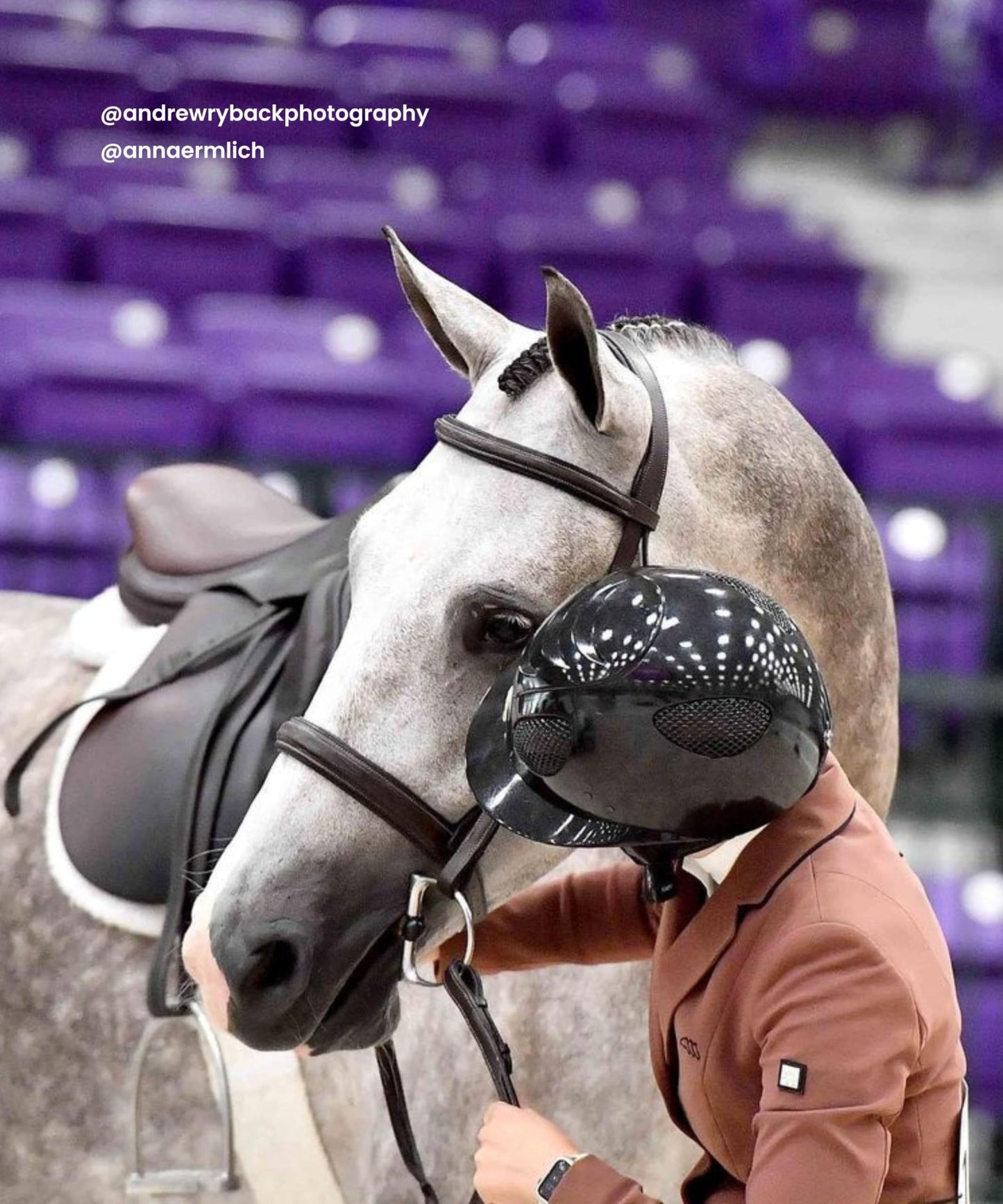 Exion Hunter Anatomic English Bridle – Padded Fancy Stitched Leather Bridle with Rubber Reins – Ergonomic Poll Relief Crownpiece for Jumping & Eventing – Stainless Steel – Havana Brown