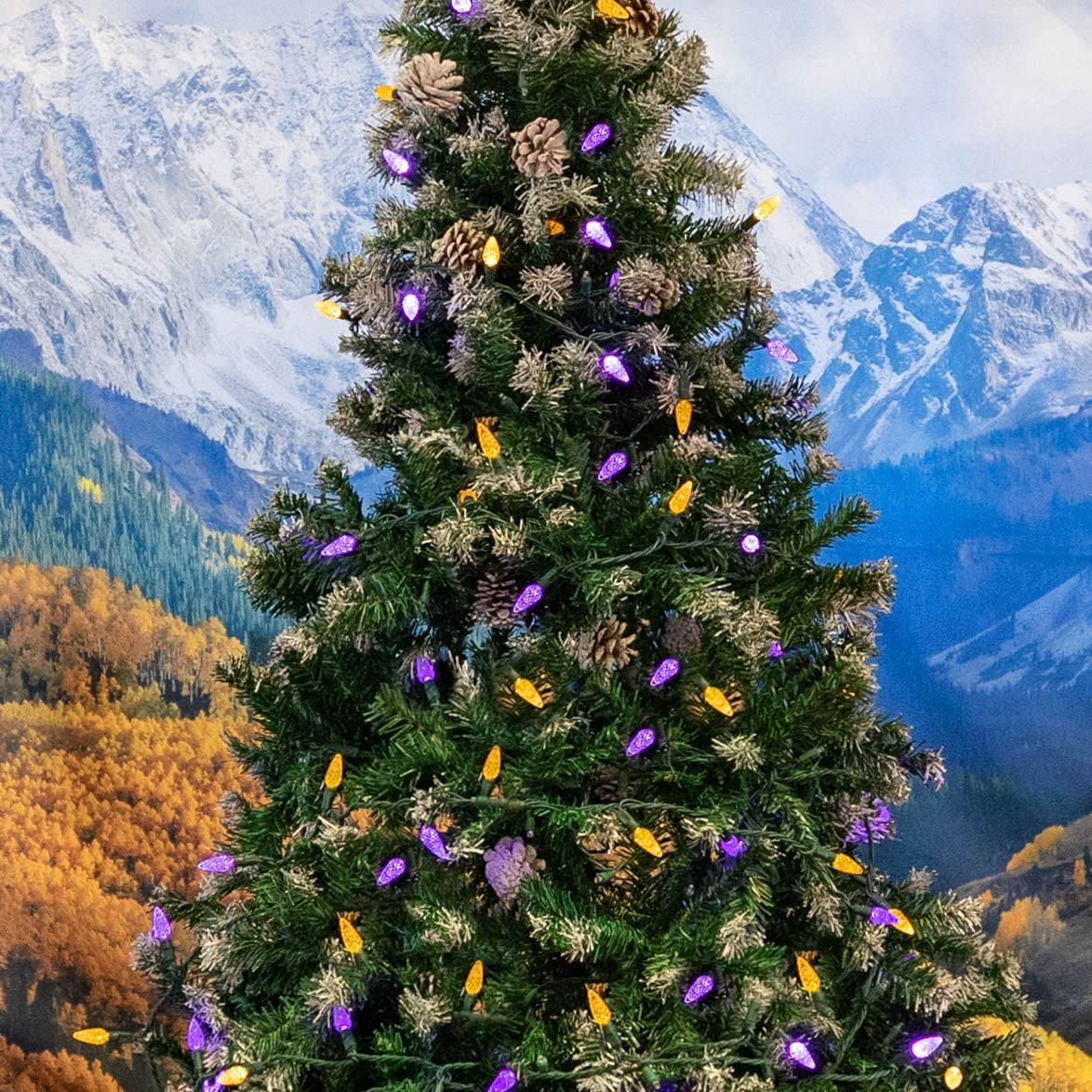 Novelty Lights 24FT 70 LED C6 LED Christmas String Lights, Commercial Grade LED String Lights, Permanent Christmas Lights, Outdoor Tree Decorations (Purple/Yellow)