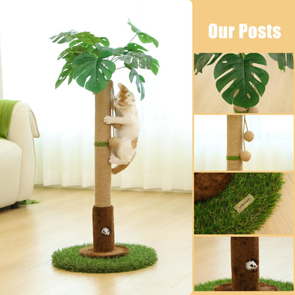 Woochpet Cat Scratching Post for Indoor Cats and Kitten - 35.43" Tall Cat Scratching Post with Sisal Rope,Palm Tree Cat Scratch Post with Hanging Ball
