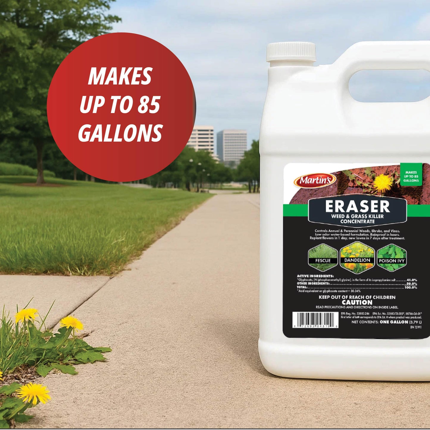 Control Solutions Inc. 82004319 Eraser Weed & Grass Killer Concentrate, 1_Gallon, 128 oz