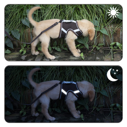 PATTEPOINT Escape Proof Mesh Cat Harness and Leash Set, Adjustable Walking Jacket Vest for Extra Kittens, Easy Control Reflective Cat Vest Harnesses for Small Medium Pets Outdoor (XS Coffee)