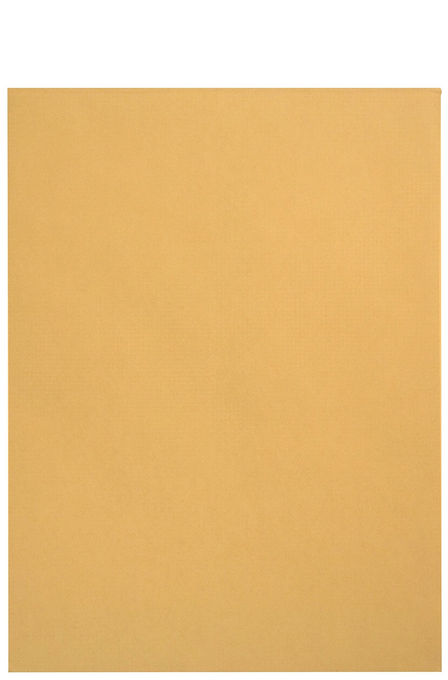 100 6 x 9 Self Seal Golden Brown Kraft Catalog Envelopes - Oversize 6 x 9 Envelope Peel and Seal Flap with 28 Pound Kraft Paper Envelopes - Printer Friendly Design - 100 Count