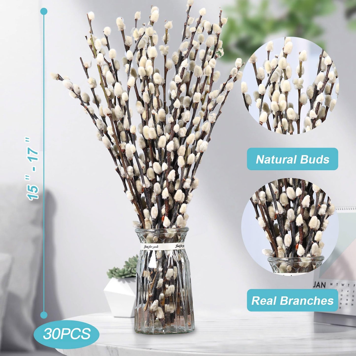 Natural Preserved Dried PussyWillow Branches for Vases, 30 Stems Real Willows, 17" Snow Pussywillows, Dried Flowers for Indoor and Outdoor Decor, Wedding Home DIY Floral Art Plants Fireplace