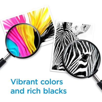 HP Original 910 Cyan, Magenta, Yellow / 910XL Black Ink Cartridges (4-Pack) | Works OfficeJet 8010, 8020 Series OfficeJet Pro 8020, 8030 Series | Eligible for Instant Ink | 3JB41AN