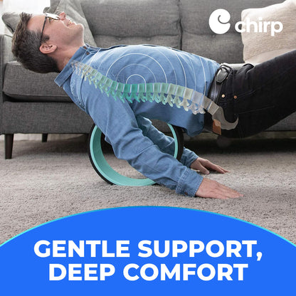 Chirp Wheel Foam Roller – Targeted Back & Neck Relief, Lumbar Spine Stretcher, Spinal Decompression Back Stretcher, Massage Roller with Density Foam for Physical Therapy, Supports 500lbs, 2-Inch Mint