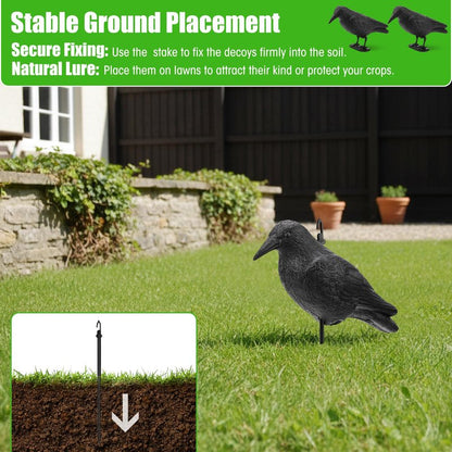 Novabright 6 Pcs Realistic Crow Decoys-Life Sized Simulation Crow Statue, Hunting Bait Decoys, Black Crows Decoy Figuring with Feet Stake for Hunting Halloween Party Yard Garden Decoration