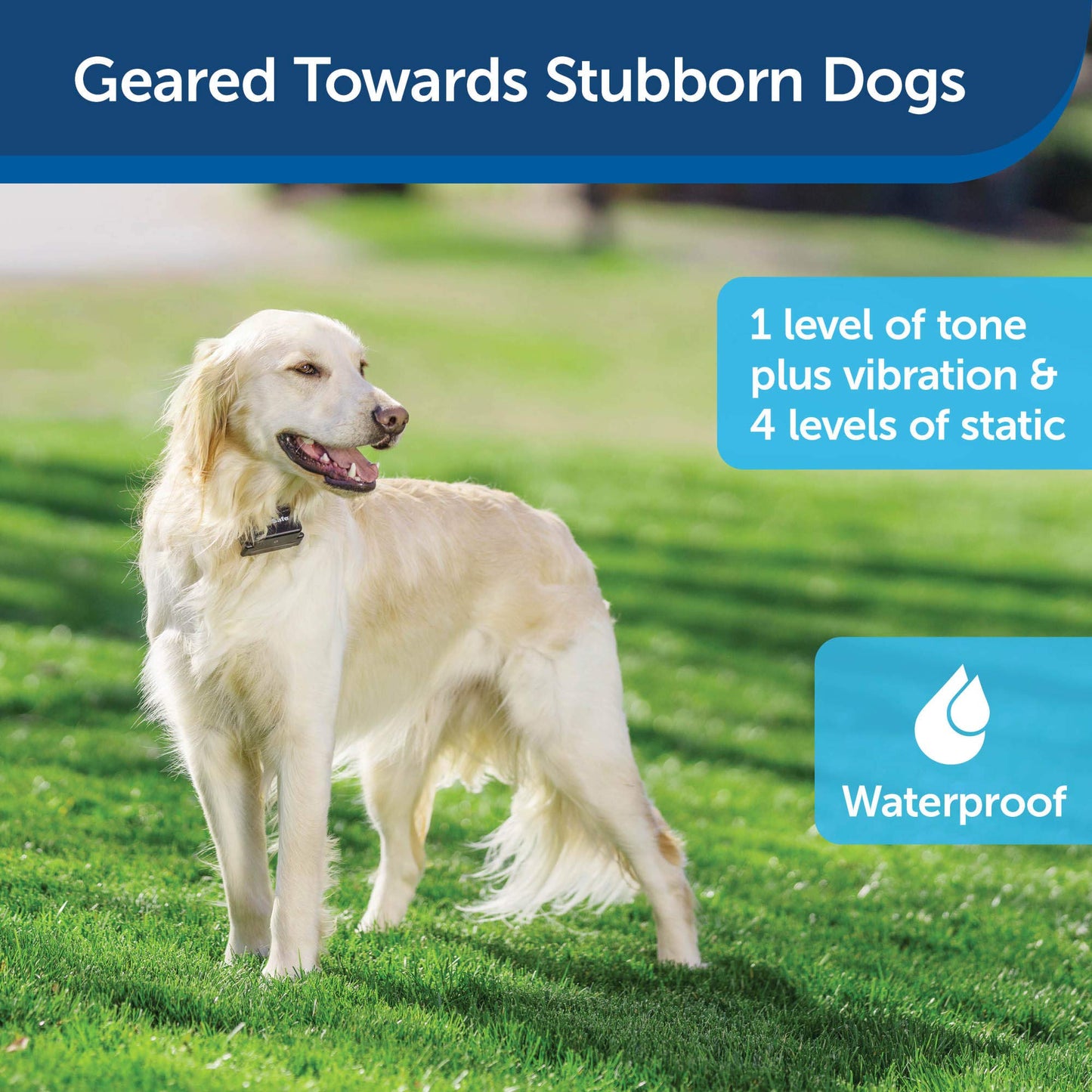 PetSafe Stubborn Dog In-Ground Pet Fence for Dogs and Cats - from The Parent Company of Invisible Fence Brand – Boundary Wire Not Included – Pick Your Wire Gauge Separately