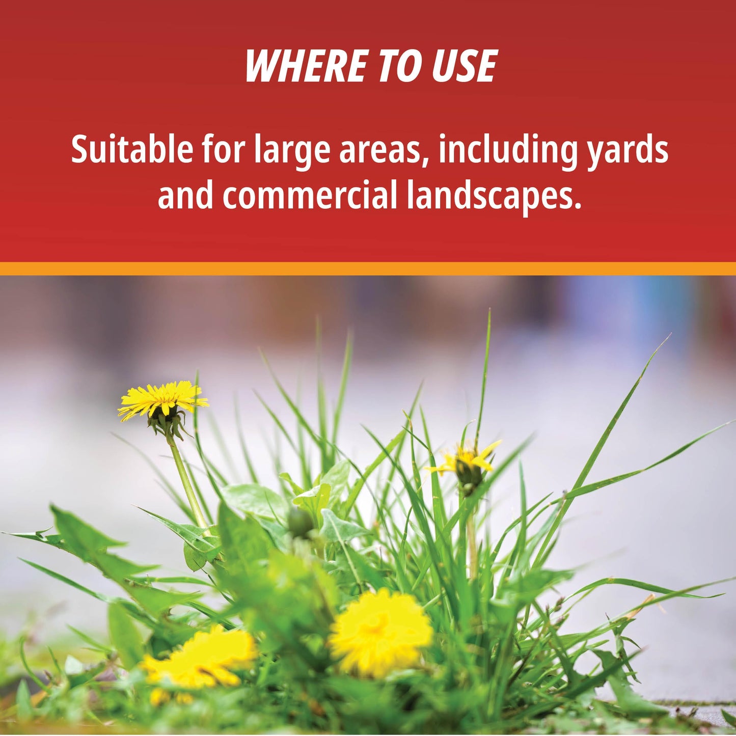 Control Solutions Inc. 82004319 Eraser Weed & Grass Killer Concentrate, 1_Gallon, 128 oz