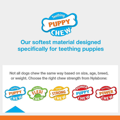 Nylabone Puppy Chew Key Ring Toy, Toys for Teething Puppies, Multi Color, Bacon Flavor, Medium - Up to 35 lbs, 1 Count
