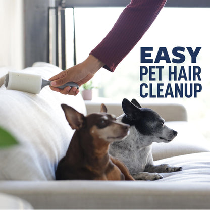 Scotch-Brite Everyday Clean Lint Roller, Lint Remover for Pet Hair, Dark Clothes, Furniture, and Dusty Surfaces, Picks Up Fur & Fluff in Your Home, Car, & Office, 5 Pack, 475 Adhesive Sheets Total