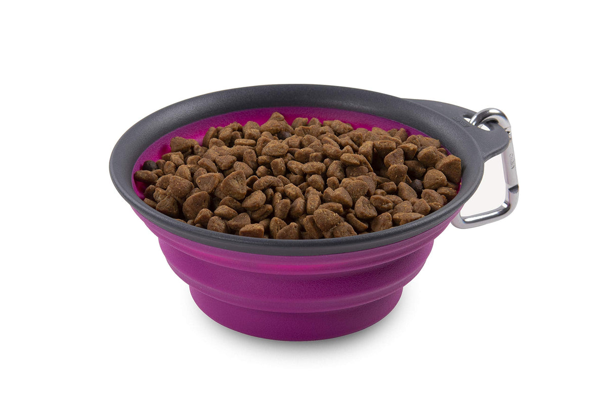 Dexas Popware for Pets Collapsible Travel Cup, Large, Gray/Blue