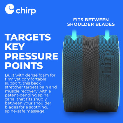 Chirp Wheel Foam Roller – Targeted Back & Neck Relief, Lumbar Spine Stretcher, Spinal Decompression Back Stretcher, Massage Roller with Density Foam for Physical Therapy, Supports 500lbs, 2-Inch Mint