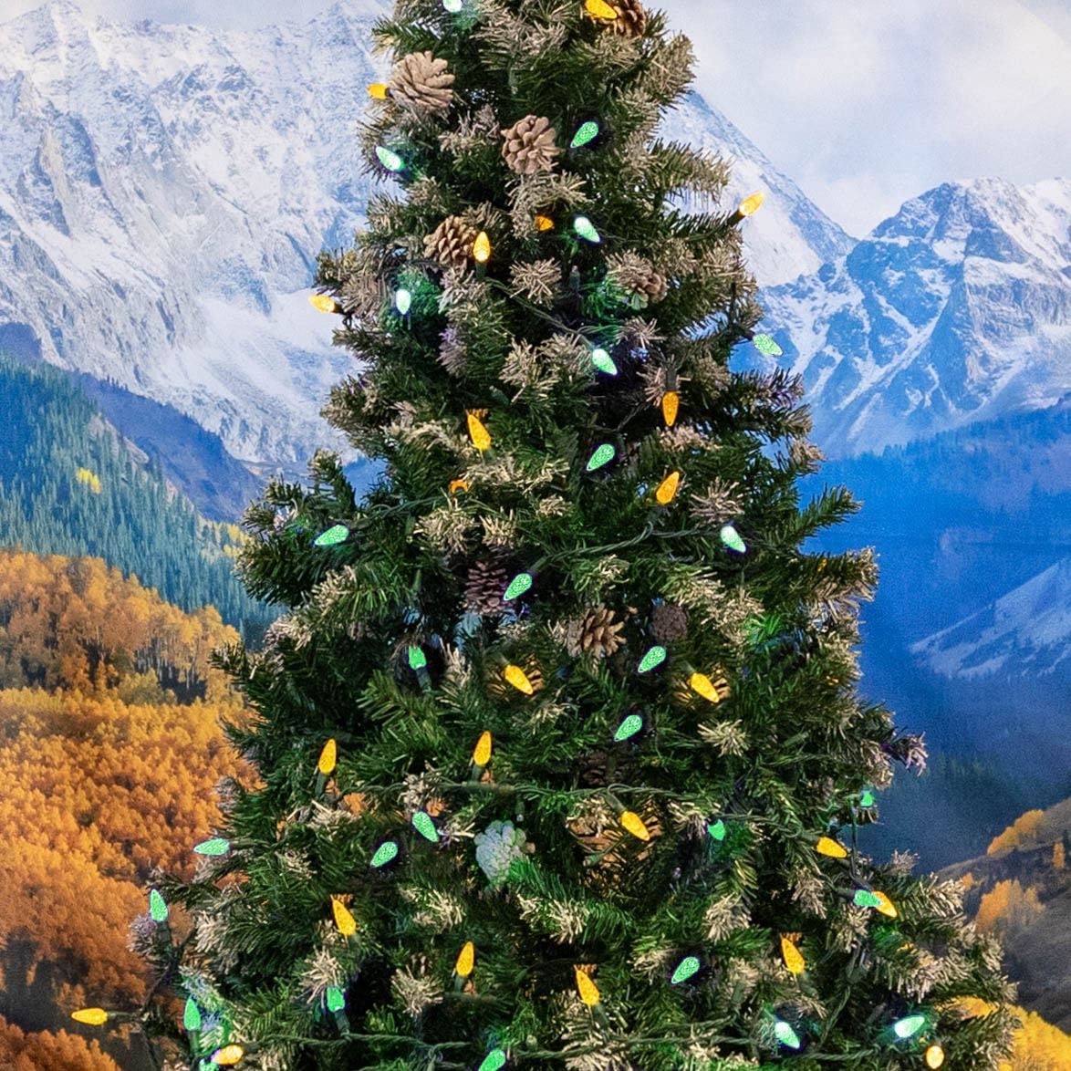 Novelty Lights 24FT 70 LED C6 Christmas String Lights, Outdoor Tree Commercial Grade LED Lights, Permanent Decorations (Green/Yellow)