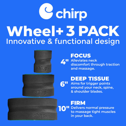 Chirp Wheel Foam Roller – Targeted Back & Neck Relief, Lumbar Spine Stretcher, Spinal Decompression Back Stretcher, Massage Roller with Density Foam for Physical Therapy, Supports 500lbs, 2-Inch Mint