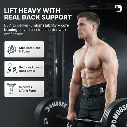 DMoose Fitness Weight Lifting Belt for Squats, Deadlift & Intense Workout - 6" Adjustable Fit Auto Lock Weightlifting Belt for Men & Women - Neoprene Gym Belts for Stability (Black 2.0)