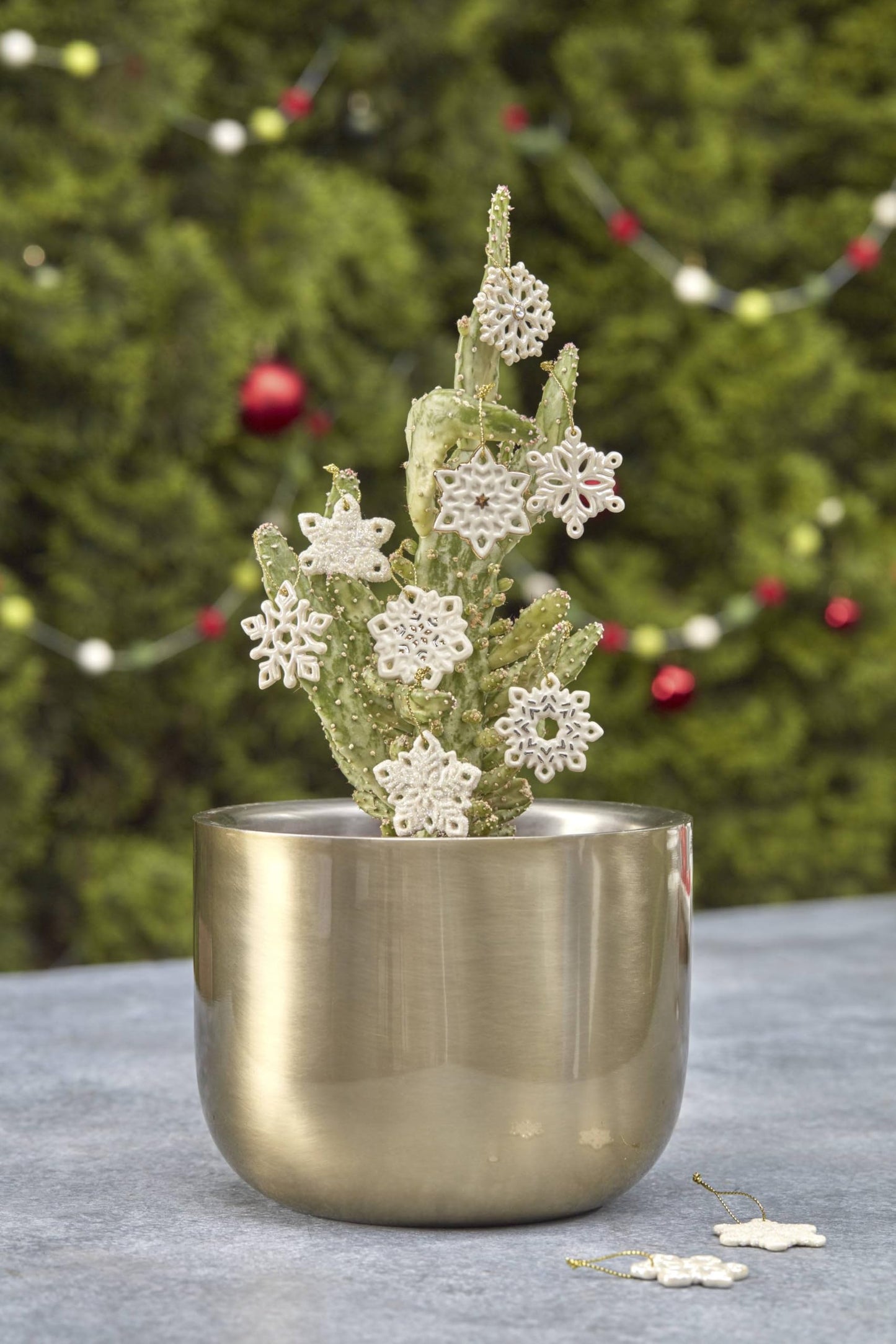 Lenox 890425 Snowflake 10-Piece Ornament Set, Christmas