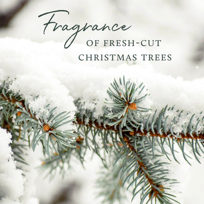 Thymes Frasier Fir Reed Diffuser Set – Includes Reeds, Fragrance Oil, and Frosted Glass Bottle – Fragrance Oil Diffuser – Room Fresheners – Luxury Home Decor – Green & Clear (Pine Needle, 4 fl oz)
