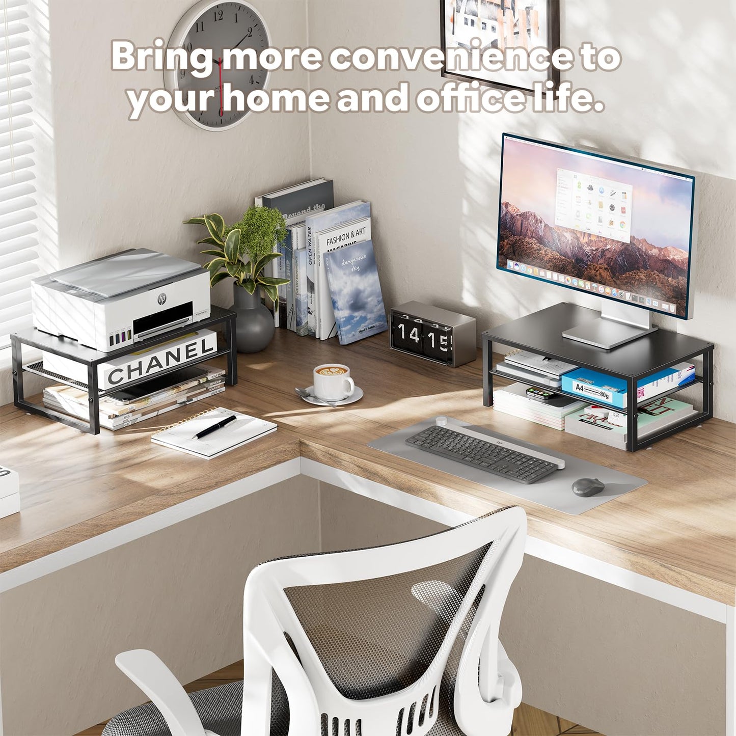 Ekisemio 2-Tier Computer Monitor Stand Riser, Desk Organizer for Monitor, Black