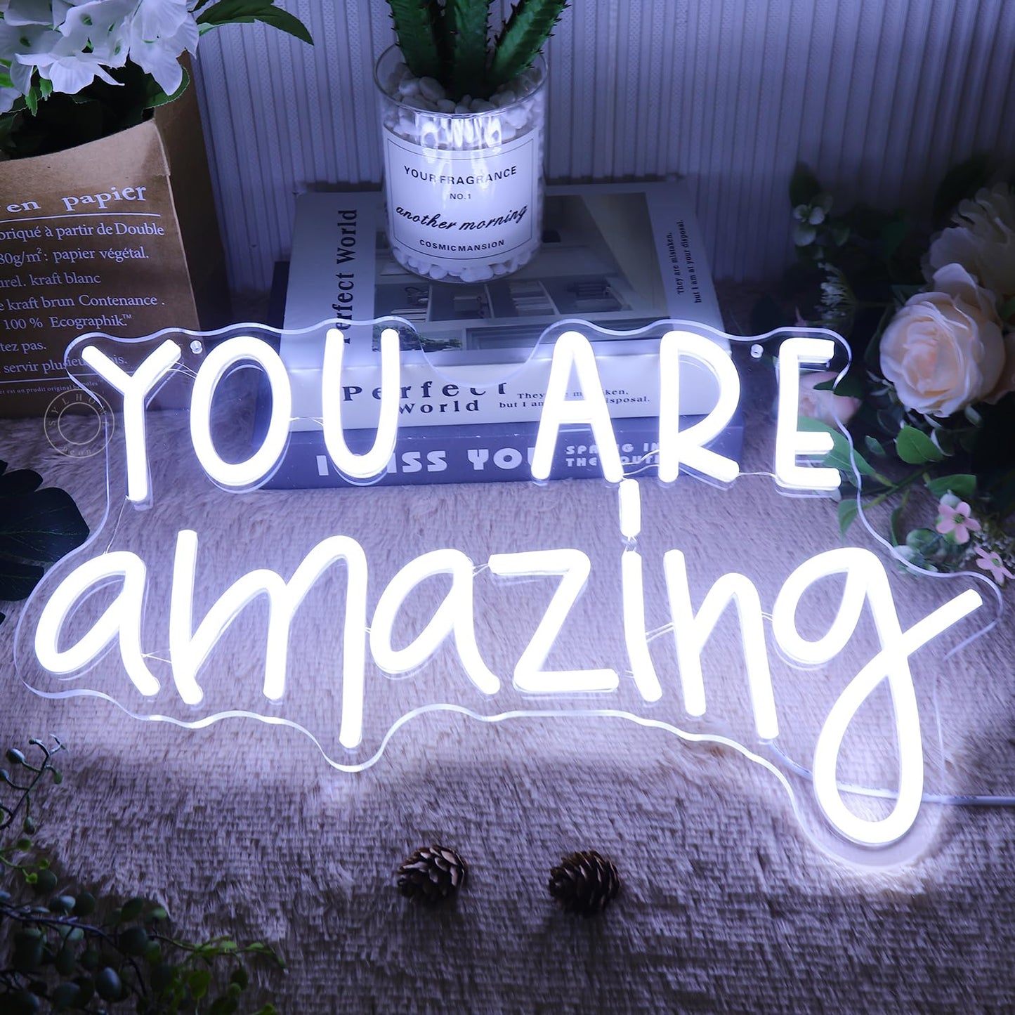 SYLHOME You Are Amazing LED Neon Light Sign 5V Girls Boys Bedroom Living Room Classroom Wall Decor Sign Hanging Smart Kid Birthday Decoration USB 16.9" X 10.6" Cold White
